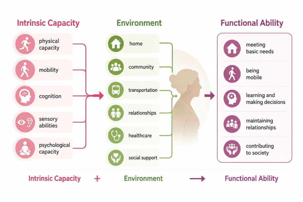 Infographic showing how intrinsic capacity and environment contribute to functional ability in healthy aging